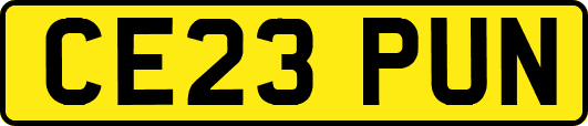 CE23PUN
