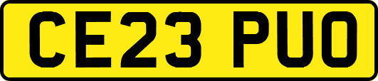 CE23PUO
