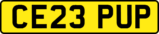 CE23PUP
