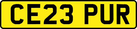 CE23PUR