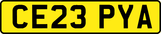 CE23PYA
