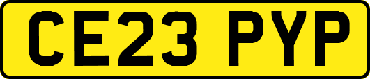 CE23PYP