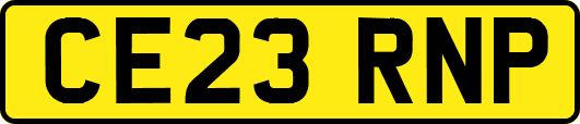 CE23RNP