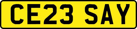 CE23SAY