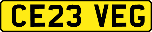CE23VEG