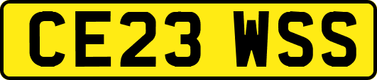 CE23WSS