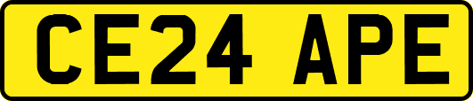 CE24APE