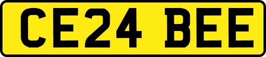 CE24BEE