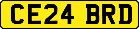 CE24BRD