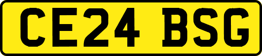 CE24BSG
