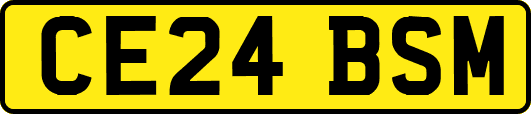 CE24BSM