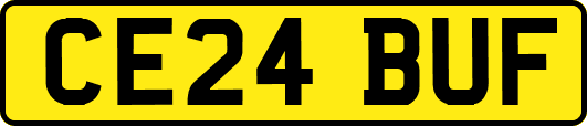 CE24BUF