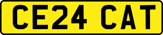 CE24CAT