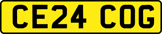 CE24COG