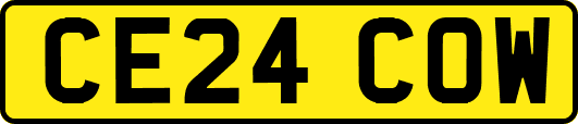 CE24COW