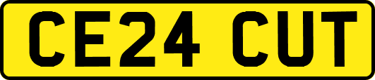 CE24CUT