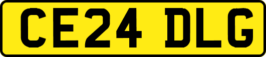 CE24DLG