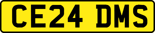 CE24DMS