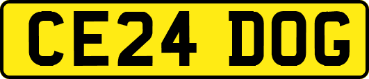 CE24DOG
