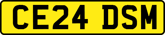 CE24DSM