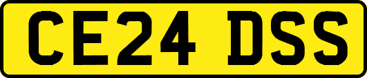 CE24DSS