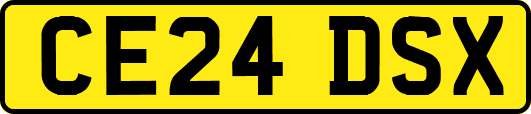 CE24DSX