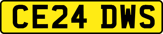CE24DWS