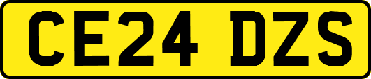 CE24DZS