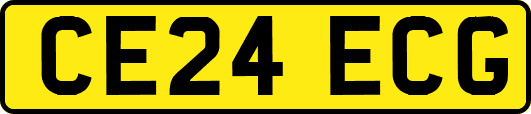 CE24ECG