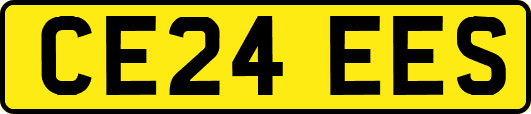 CE24EES