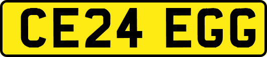 CE24EGG