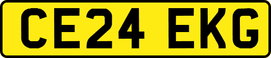 CE24EKG