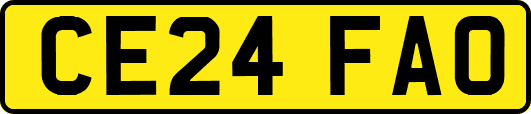 CE24FAO