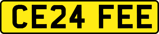 CE24FEE