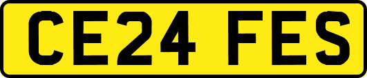 CE24FES
