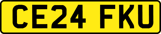 CE24FKU