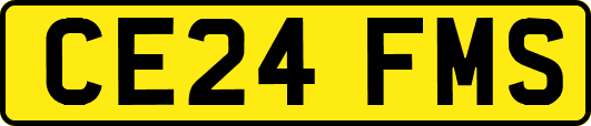 CE24FMS
