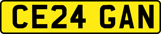 CE24GAN
