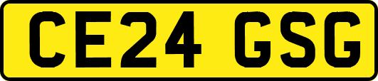 CE24GSG