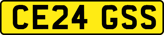 CE24GSS