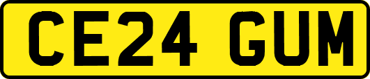 CE24GUM