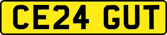 CE24GUT