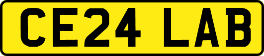 CE24LAB