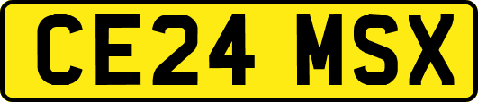CE24MSX
