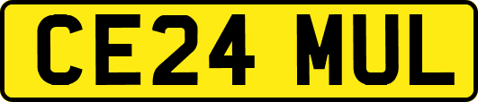CE24MUL