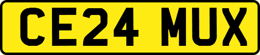 CE24MUX