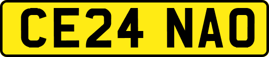 CE24NAO