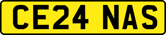 CE24NAS
