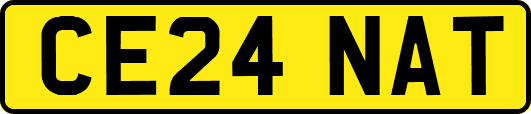 CE24NAT
