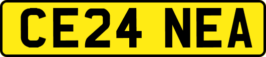 CE24NEA